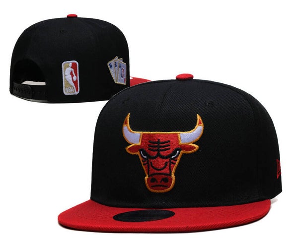 Chicago Bulls
