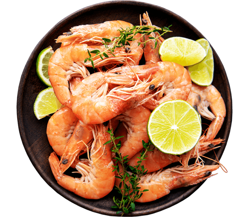 8Cento bij schelpdieren