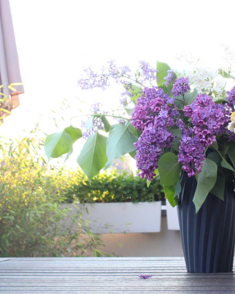 flieder in der vase