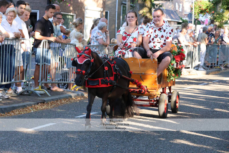 4t9a7824_resultaat-standard.jpg