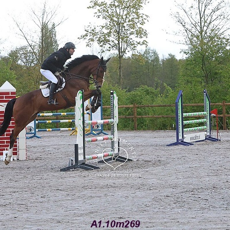4t9a7850_resultaat-bordermaker-standard.jpg