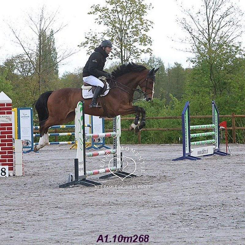 4t9a7851_resultaat-bordermaker-standard.jpg