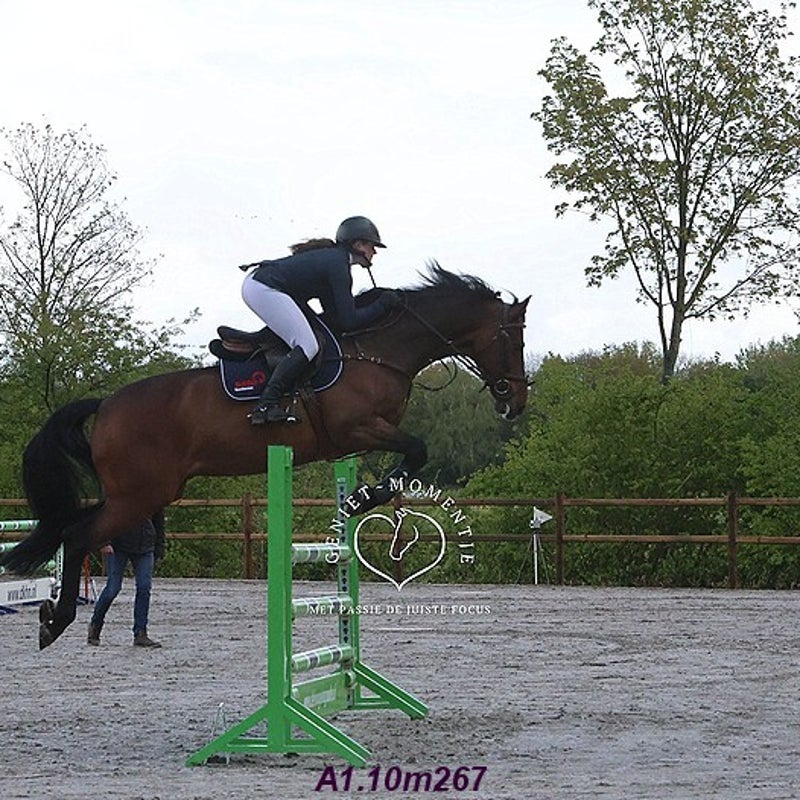 4t9a7852_resultaat-bordermaker-standard.jpg