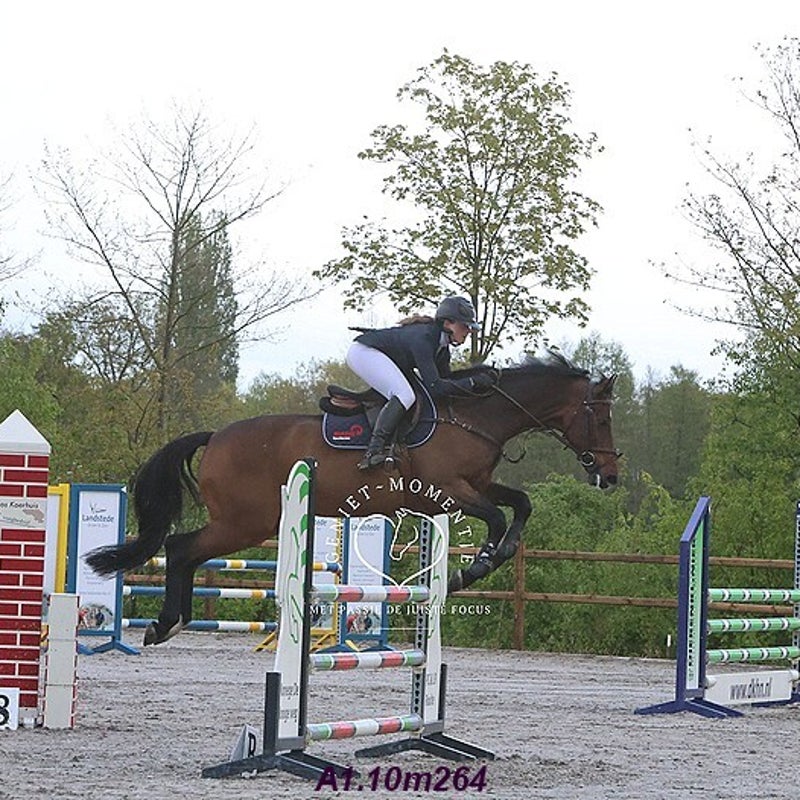 4t9a7857_resultaat-bordermaker-standard.jpg