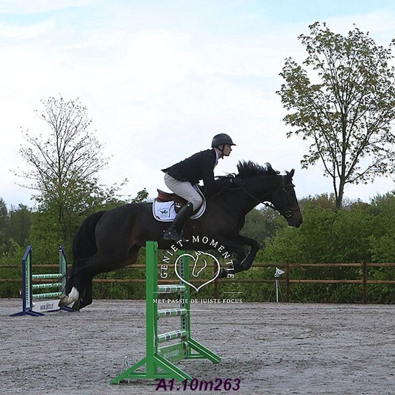 4t9a7859_resultaat-bordermaker-standard.jpg