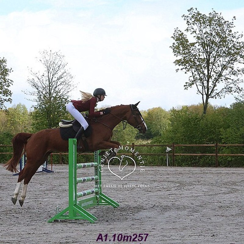 4t9a7868_resultaat-bordermaker-standard.jpg