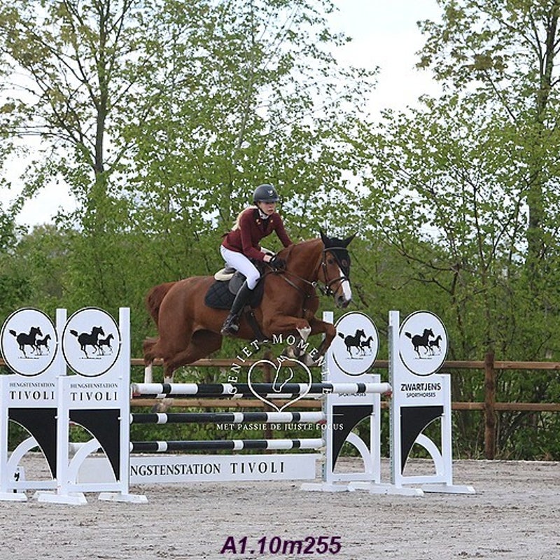 4t9a7871_resultaat-bordermaker-standard.jpg