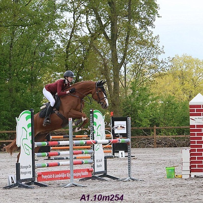 4t9a7872_resultaat-bordermaker-standard.jpg