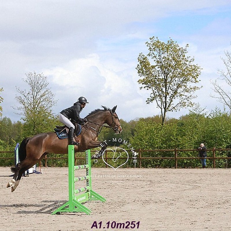 4t9a7876_resultaat-bordermaker-standard.jpg