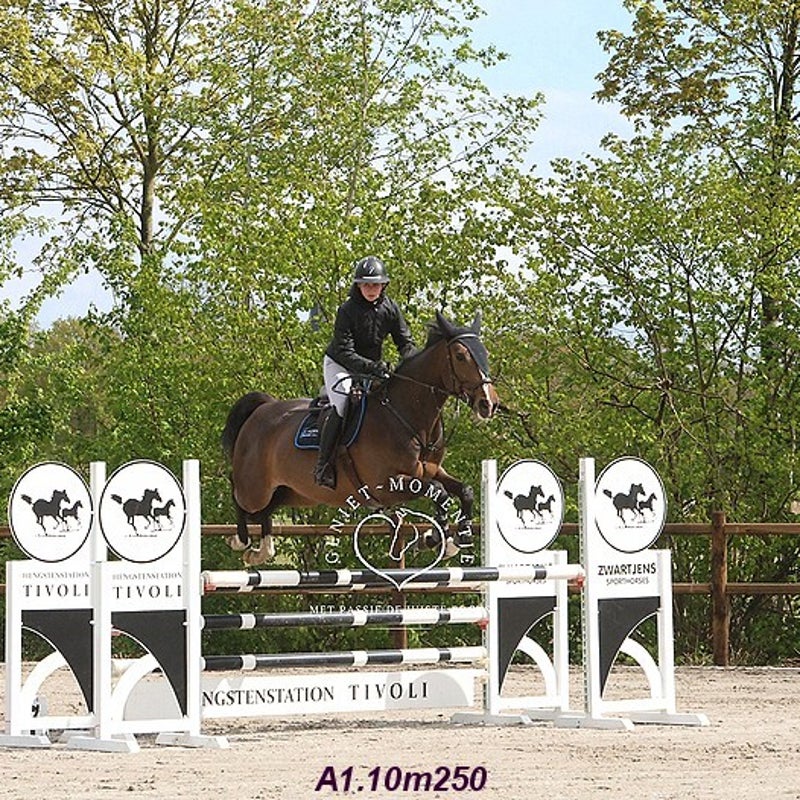 4t9a7879_resultaat-bordermaker-standard.jpg