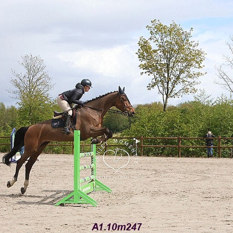 4t9a7884_resultaat-bordermaker-standard.jpg