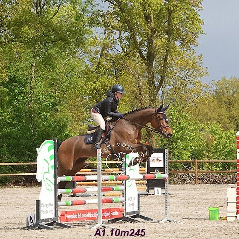 4t9a7889_resultaat-bordermaker-standard.jpg