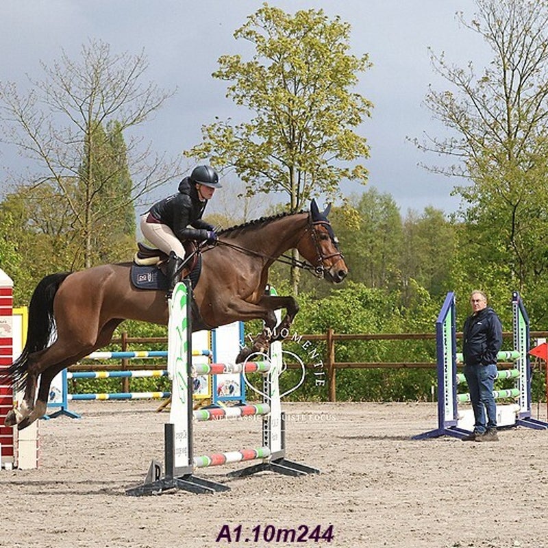 4t9a7891_resultaat-bordermaker-standard.jpg