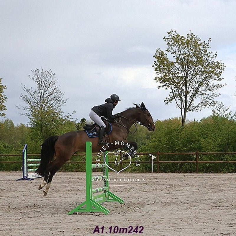 4t9a7894_resultaat-bordermaker-standard.jpg