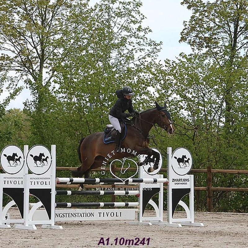 4t9a7897_resultaat-bordermaker-standard.jpg