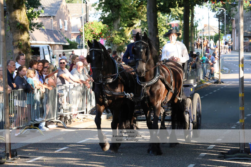 4t9a7901_resultaat-standard-jzo8d3.jpg