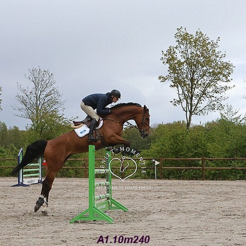 4t9a7902_resultaat-bordermaker-standard.jpg