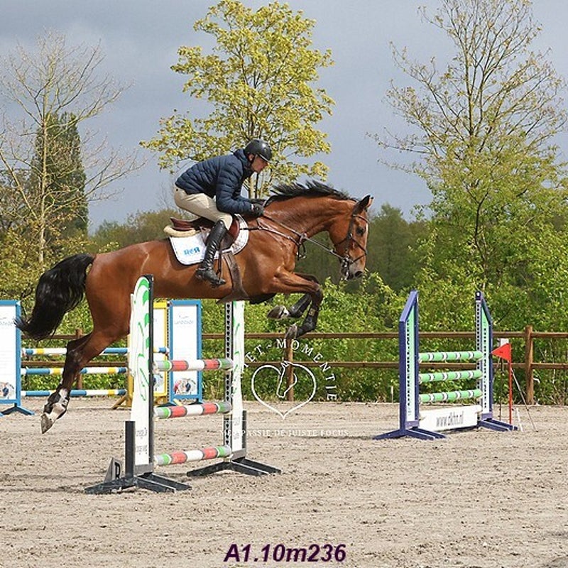 4t9a7909_resultaat-bordermaker-standard.jpg