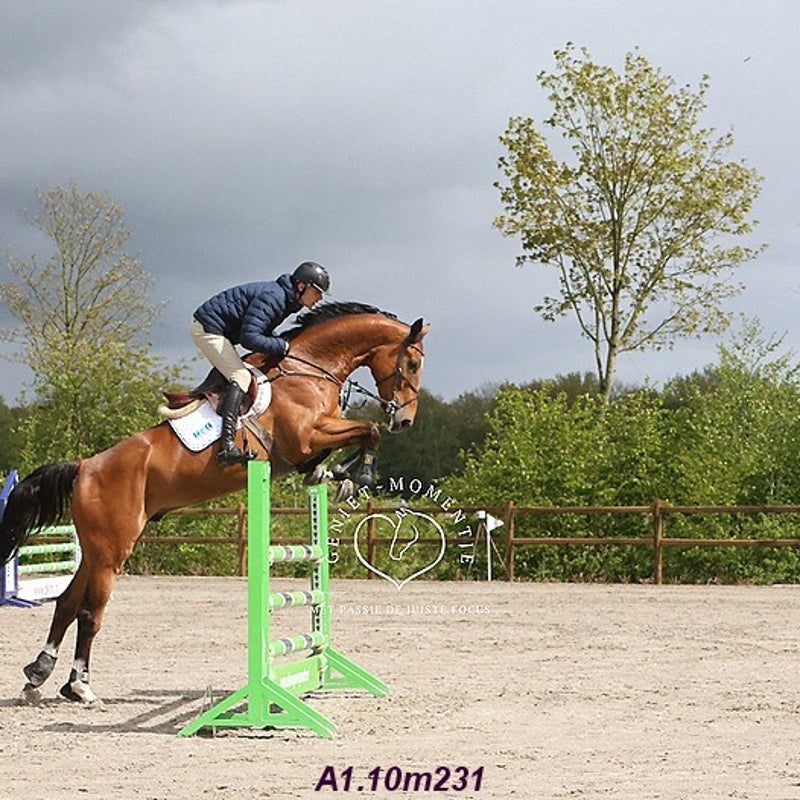 4t9a7916_resultaat-bordermaker-standard.jpg