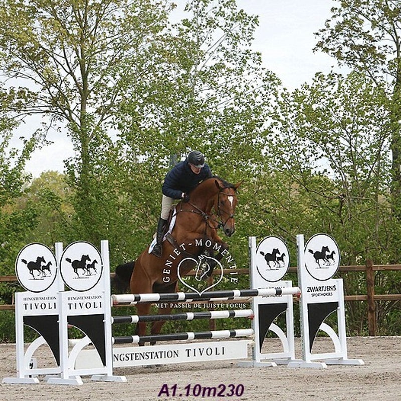 4t9a7917_resultaat-bordermaker-standard.jpg