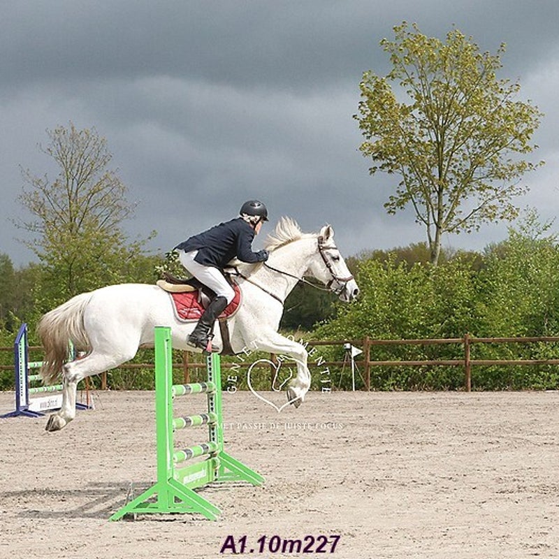 4t9a7921_resultaat-bordermaker-standard.jpg