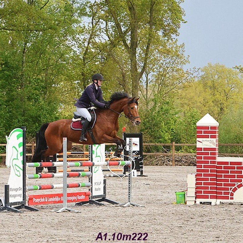 4t9a7934_resultaat-bordermaker-standard.jpg