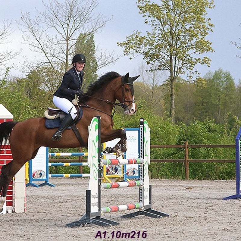 4t9a7951_resultaat-bordermaker-standard.jpg