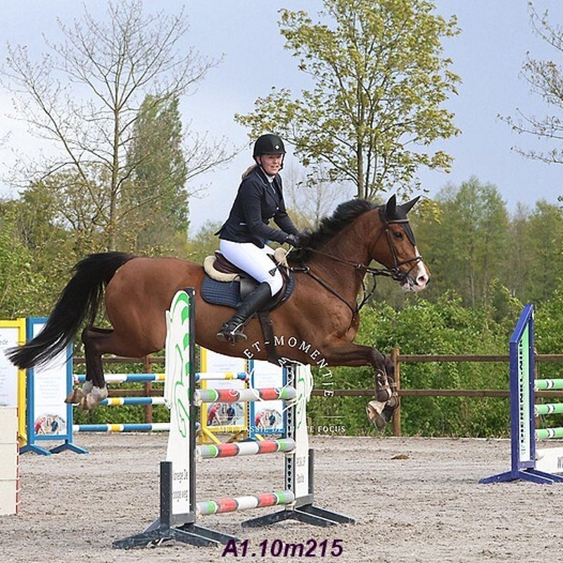 4t9a7952_resultaat-bordermaker-standard.jpg
