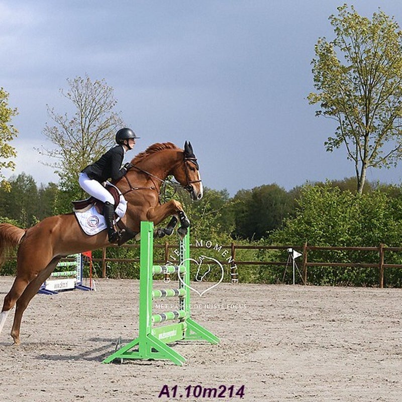 4t9a7953_resultaat-bordermaker-standard.jpg
