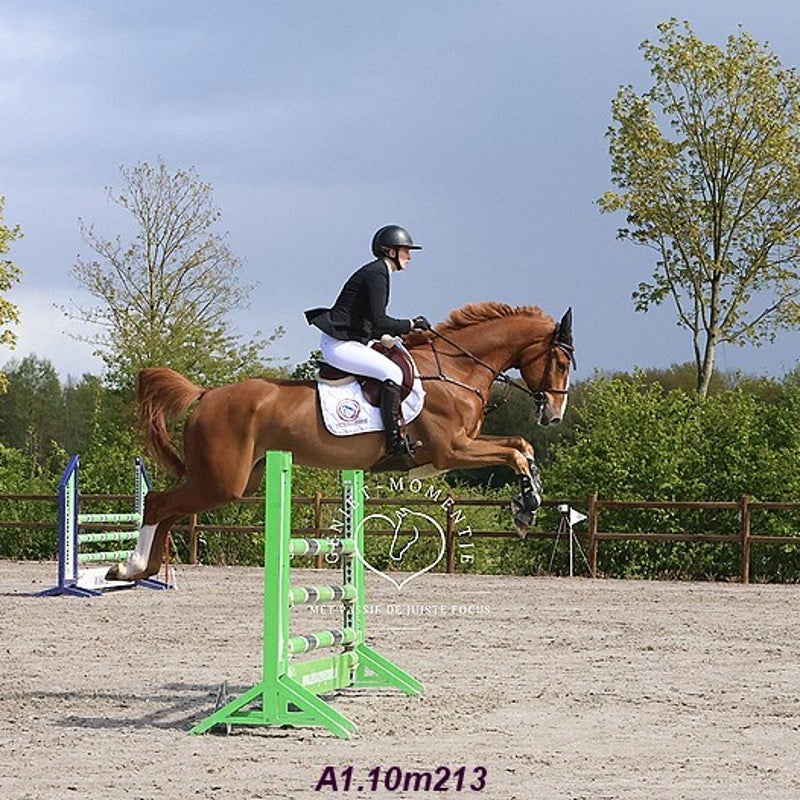 4t9a7954_resultaat-bordermaker-standard.jpg