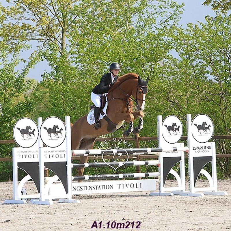 4t9a7956_resultaat-bordermaker-standard.jpg