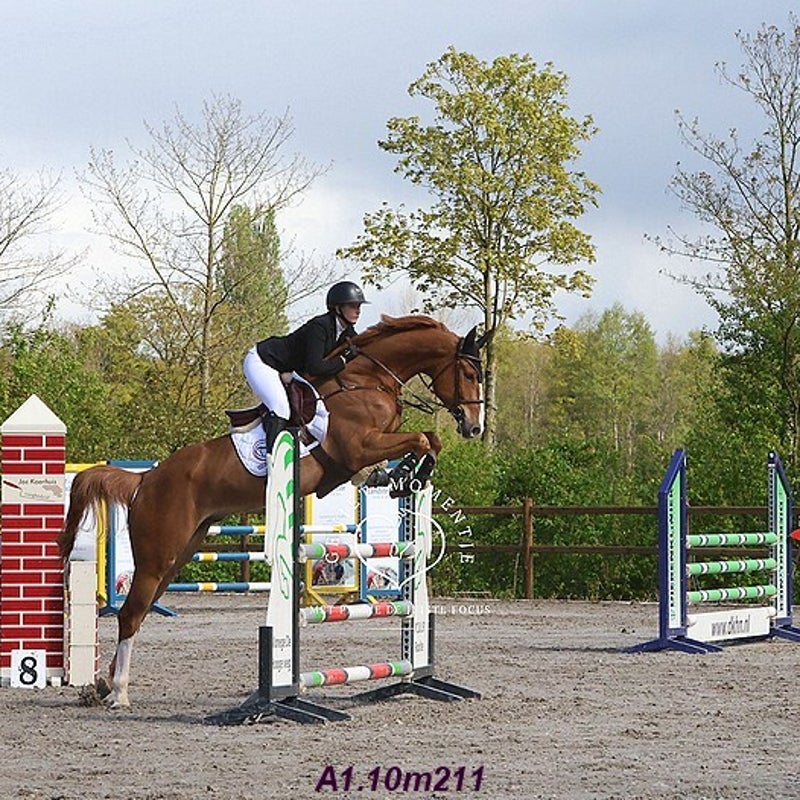 4t9a7957_resultaat-bordermaker-standard.jpg