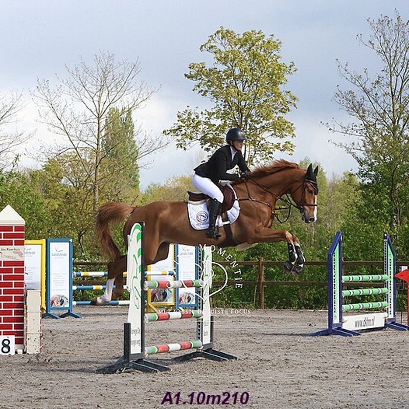 4t9a7958_resultaat-bordermaker-standard.jpg