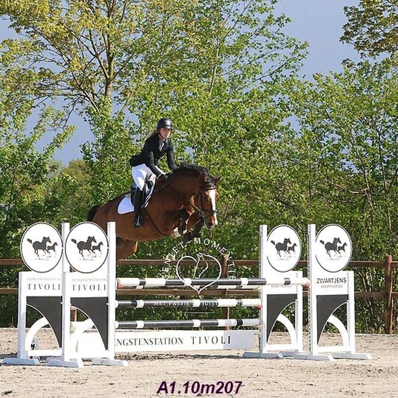 4t9a7963_resultaat-bordermaker-standard.jpg