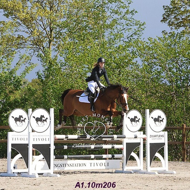 4t9a7964_resultaat-bordermaker-standard.jpg