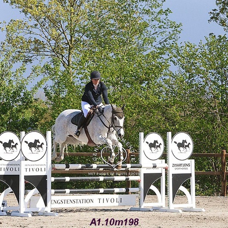 4t9a7975_resultaat-bordermaker-standard.jpg