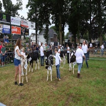 4t9a7980_resultaat-standard.jpg