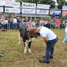 4t9a7981_resultaat-standard.jpg