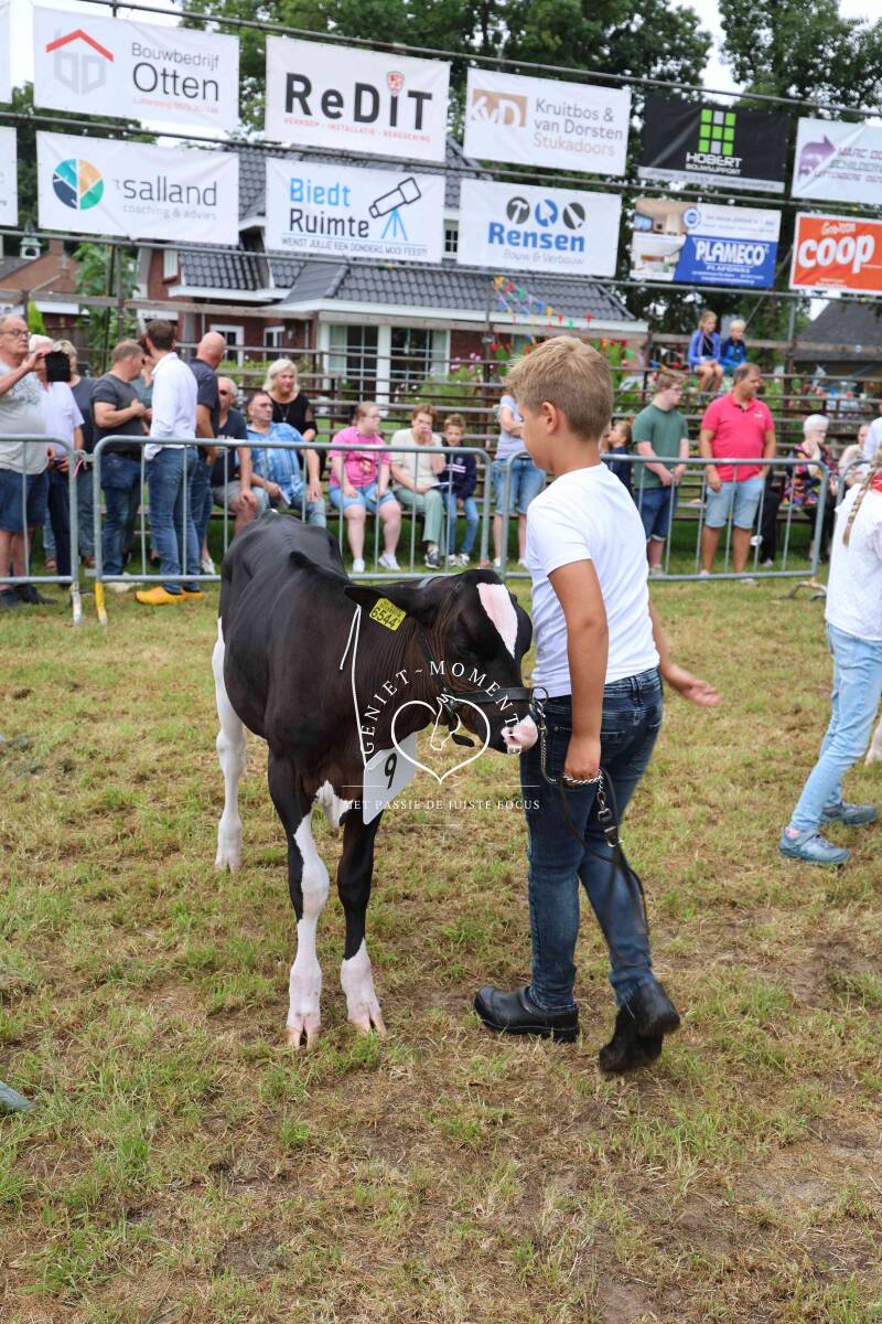 4t9a7982_resultaat-standard.jpg