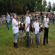 4t9a7983_resultaat-standard.jpg