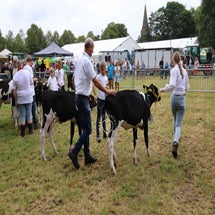 4t9a7984_resultaat-standard.jpg