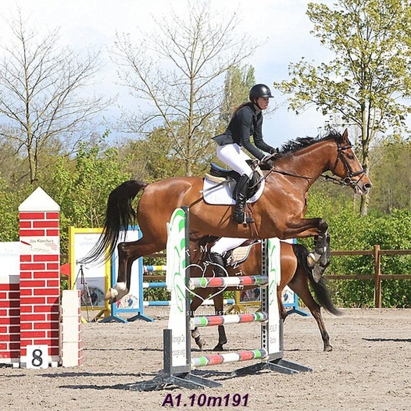 4t9a7985_resultaat-bordermaker-standard.jpg