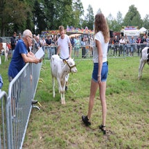 4t9a7985_resultaat-standard.jpg