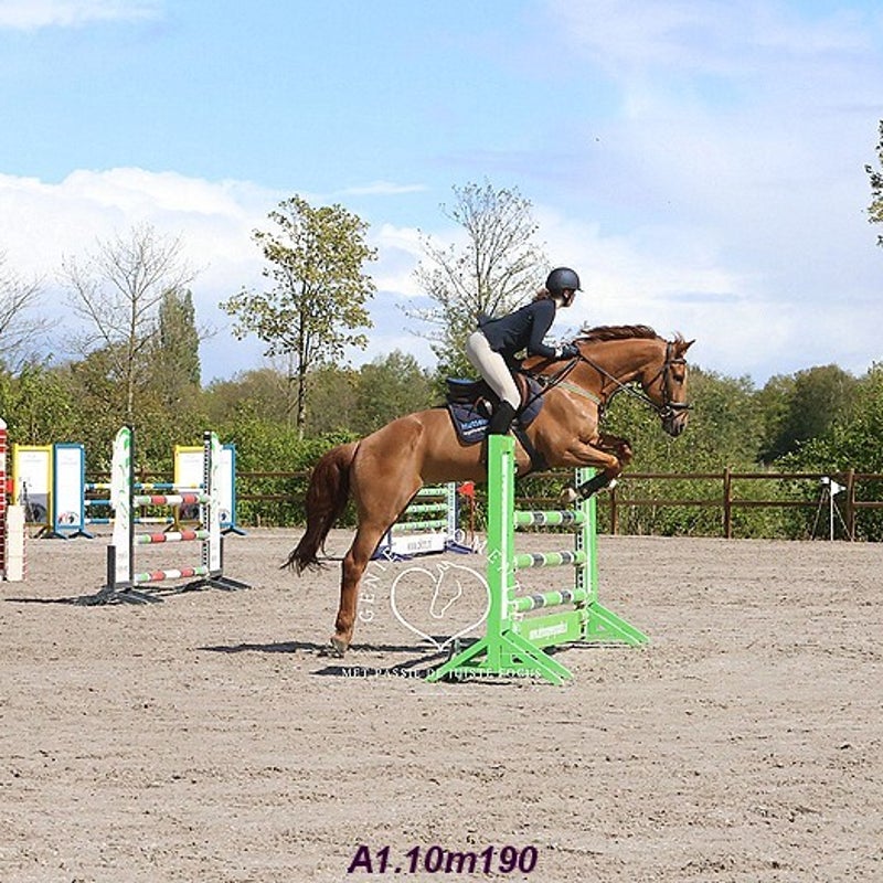 4t9a7987_resultaat-bordermaker-standard.jpg