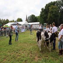 4t9a7987_resultaat-standard.jpg