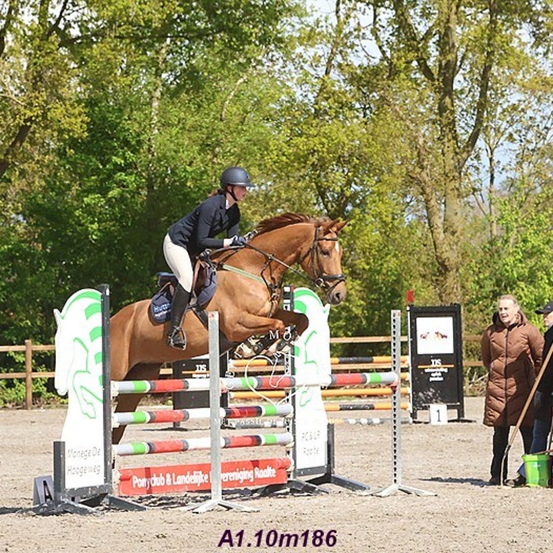 4t9a7993_resultaat-bordermaker-standard.jpg