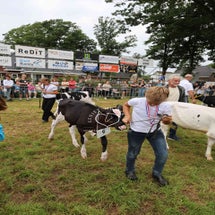4t9a7995_resultaat-standard.jpg