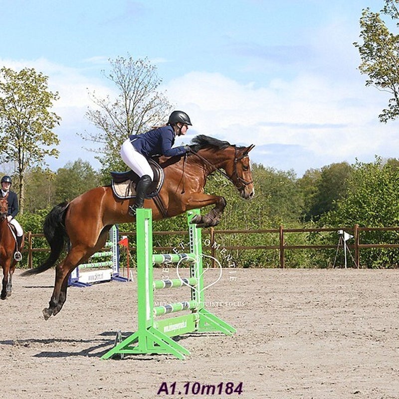 4t9a7996_resultaat-bordermaker-standard.jpg