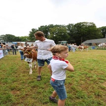 4t9a7997_resultaat-standard.jpg