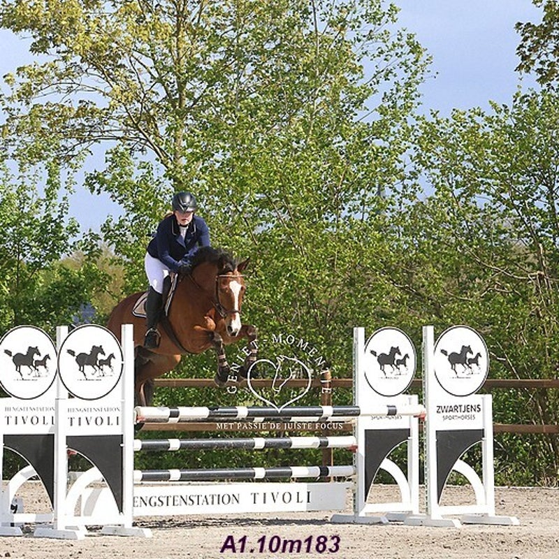 4t9a7998_resultaat-bordermaker-standard.jpg